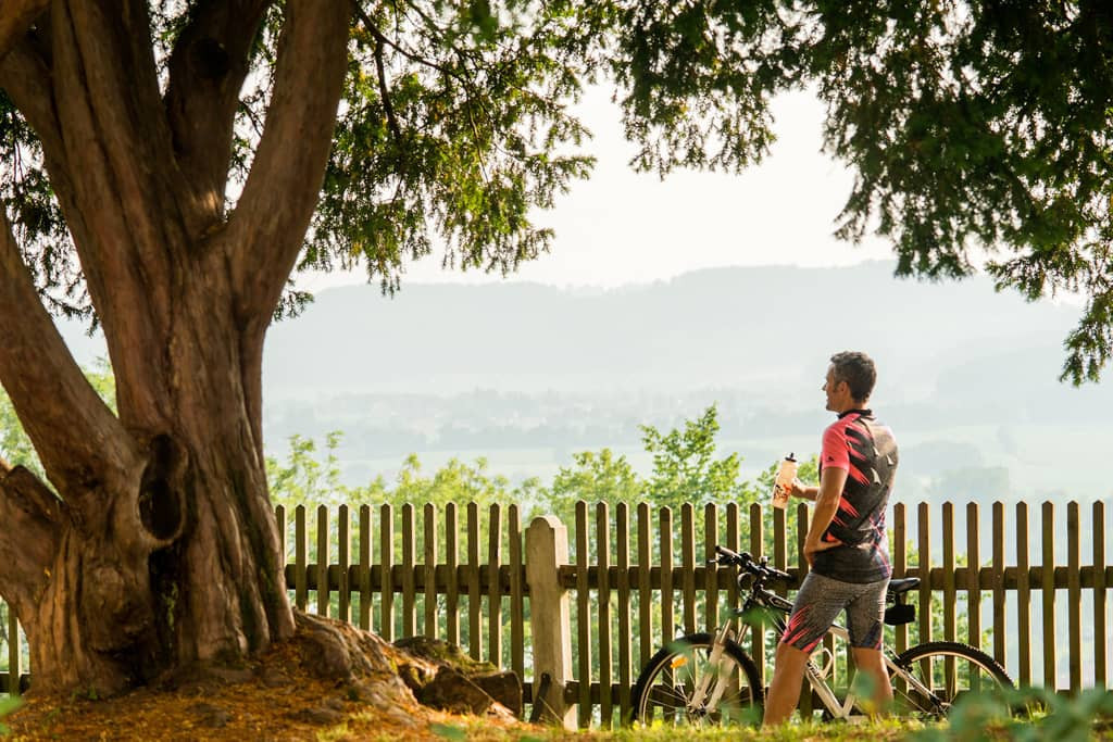Oberschloss-Aussicht-Rad-Copyright-StefanKristoferitsch