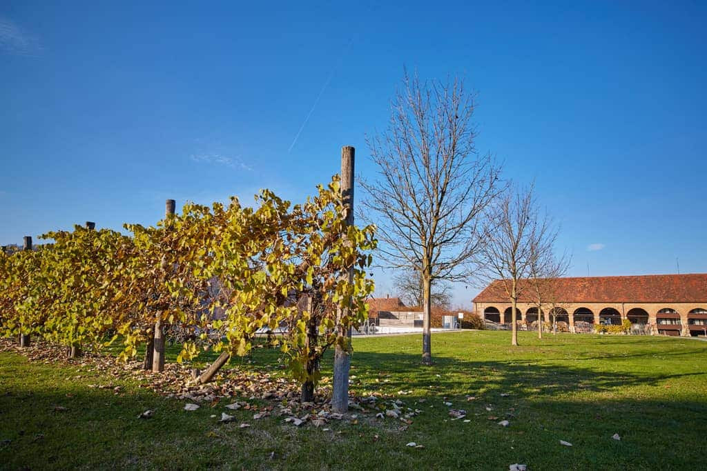 Pool meadow orangery Copyright JanezKotar