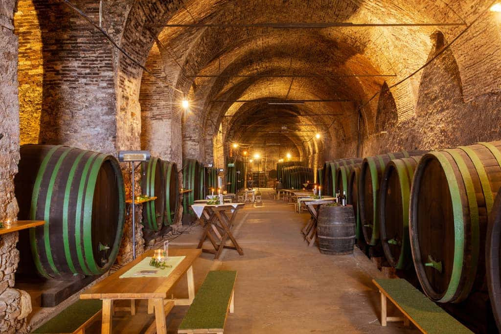 Weinkeller Copyright Janez Kotar