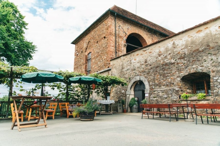 Weinlaube Schloss SeggauCopyrightRMSW Gmbh-webquartier Die Weinlaube von Schloss Seggau mit seinen Sitzgelegenheiten