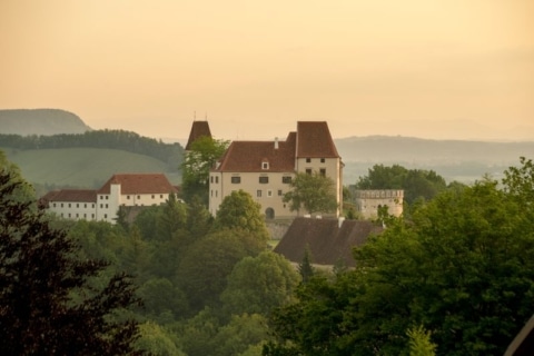 Seggau Castle is situated on the green plateau of the Seggauberg, high above Leibnitz in beautiful southern Styria. The castle offers a hotel with 85 rooms, 16 seminar and conference rooms, a castle tavern, the episcopal wine cellar and many other highlights that will make your stay unforgettable.