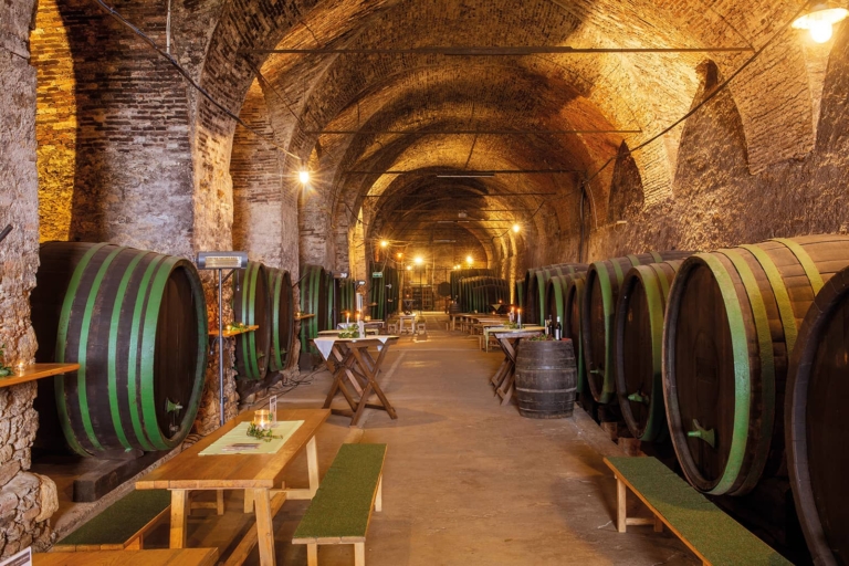 View of the episcopal wine cellar at Seggau Castle with old wooden barrels lined up on the side. Soft light and beer tables fill the room.