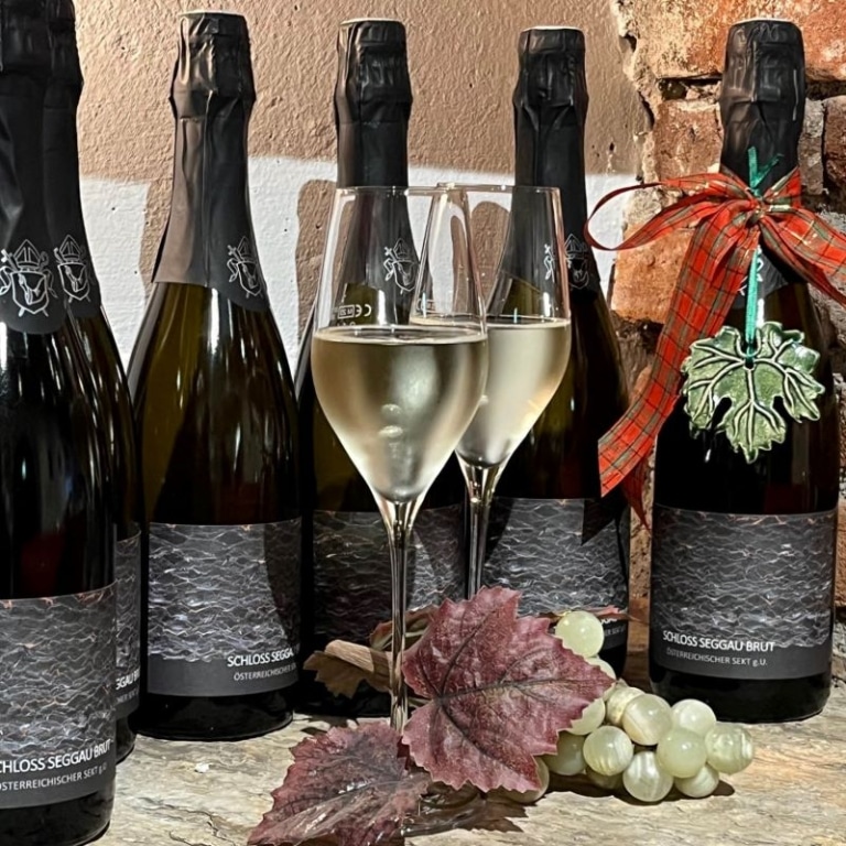 Enjoy the fruity Schloss Seggau Brut 2021 in the December offer from the Episcopal Wine Cellar.