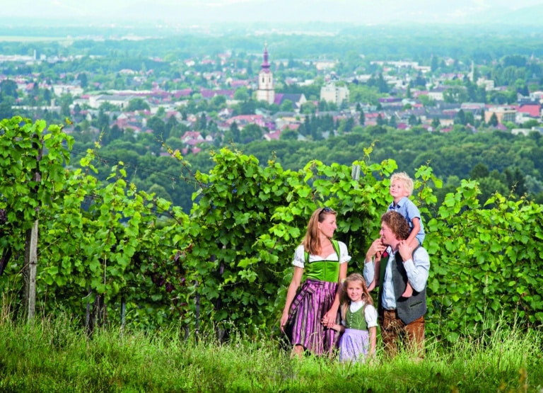 61-WeingartenwanderWanderung durch die WeinbergeCopyrightkarinbergmann